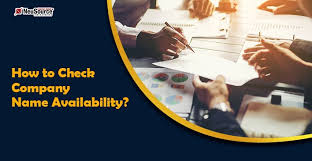 How to Check Company Name Availability in India
